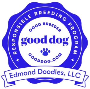 Edmond Doodles Good Dog Profile